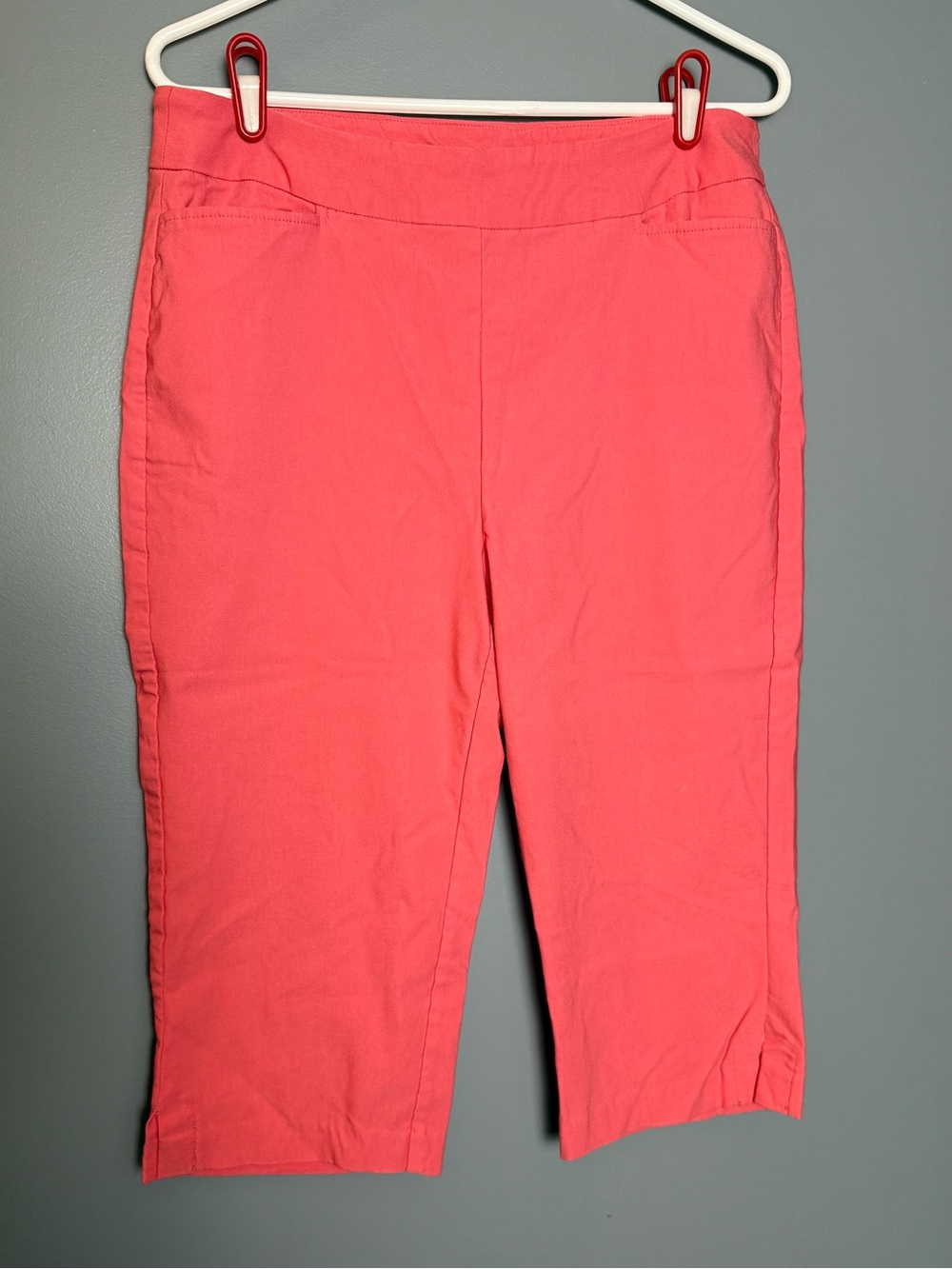 Anthony's Resortwear Coral Pocketed Clamdigger Crop Pants Womens Sz 14